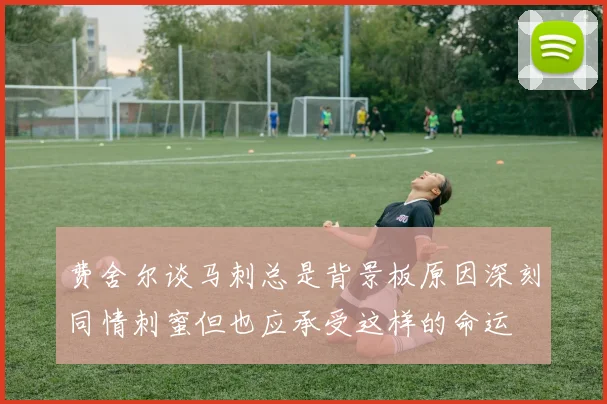 费舍尔谈马刺总是背景板原因深刻同情刺蜜但也应承受这样的命运
